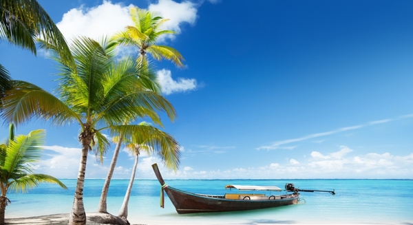 海洋沙滩椰子树游船图片
