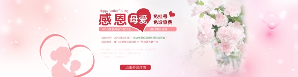 母亲节banner2016康乃馨