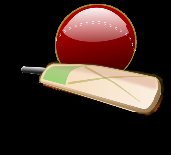 cricket03