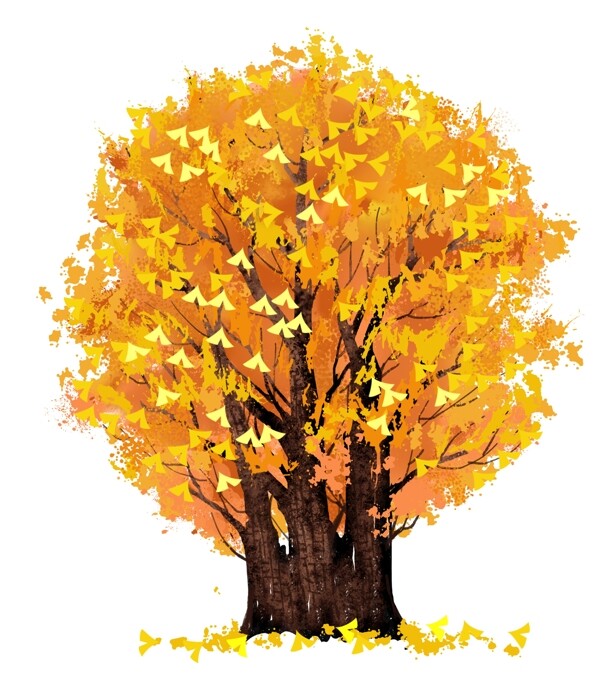 一棵树黄色叶子树木