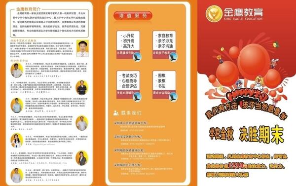 中小学教育正度a3三折页图片