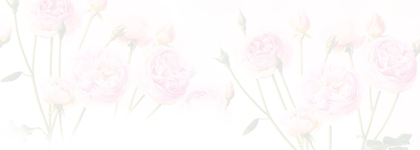 粉色的花海报背景图片108