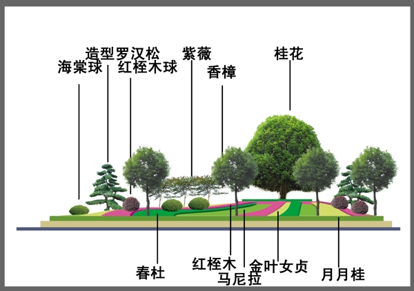 广场绿化效果图图片