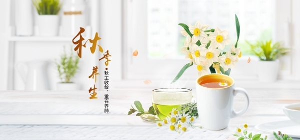 秋季养生茶调理海报