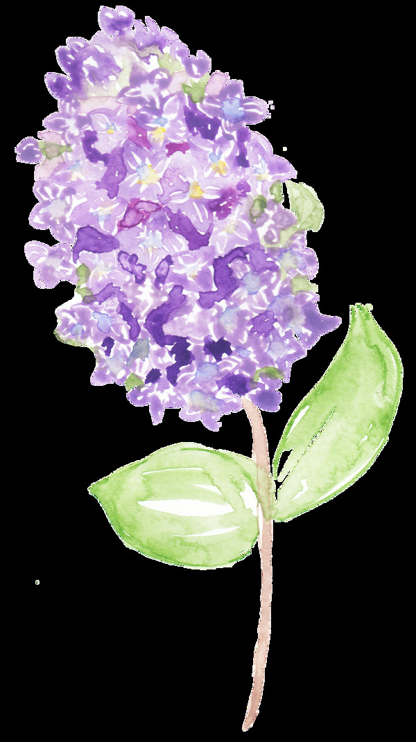 一枝手绘粉紫色花枝装饰素材