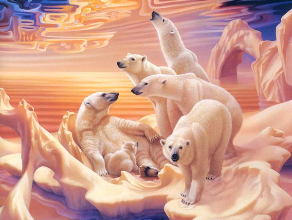 梦幻北极熊图片