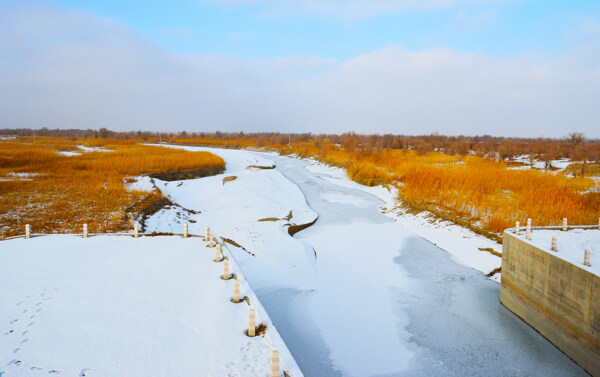 塔里木河雪景图片