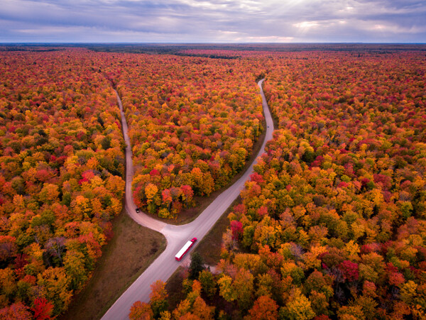 美国秋季森林道路