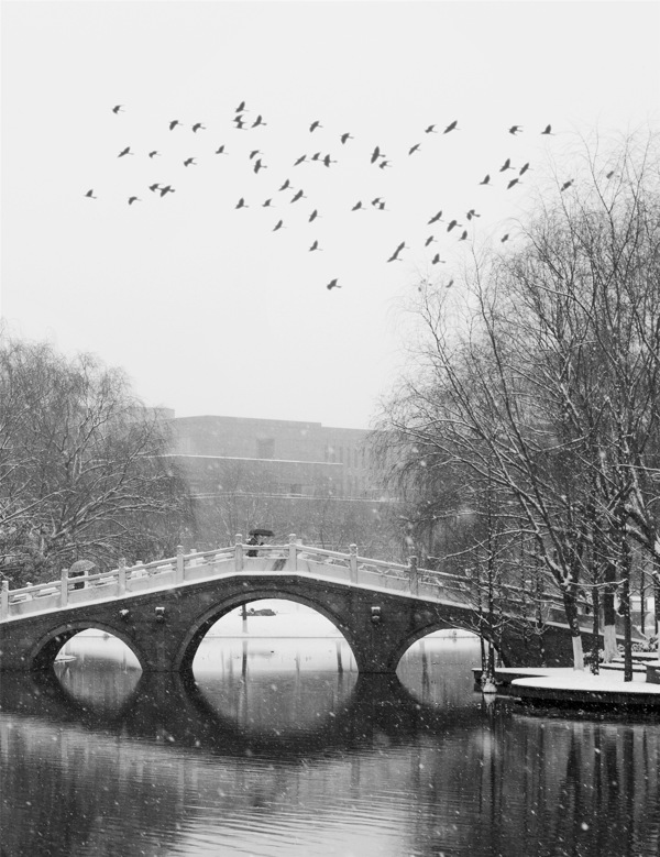 浙江大学紫金港雪景图片