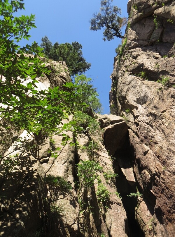 黄山风光图片