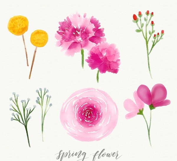 6款水彩绘春季花卉矢量素材