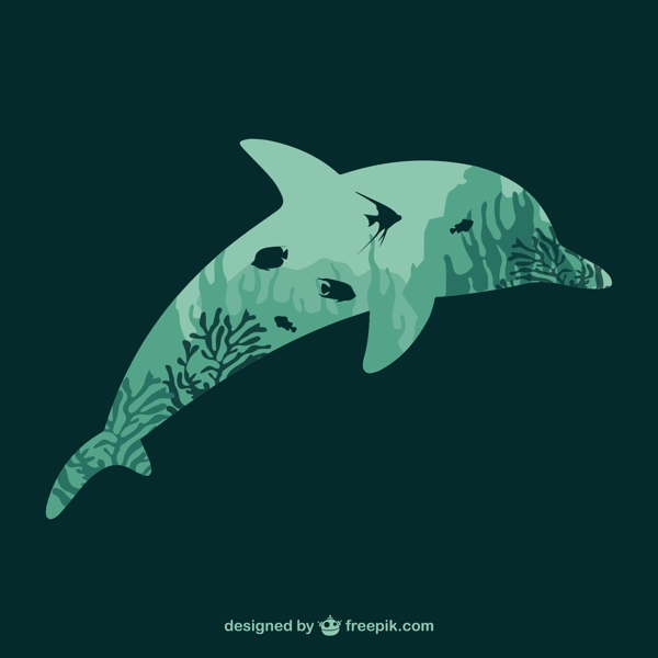 海豚珊瑚的剪影
