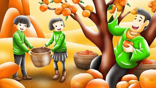 质感节气霜降和爸爸一起摘柿子秋天原创插画