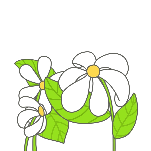 开白色花朵的植物