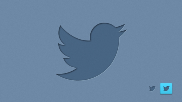 新的推特社会鸟的标识
