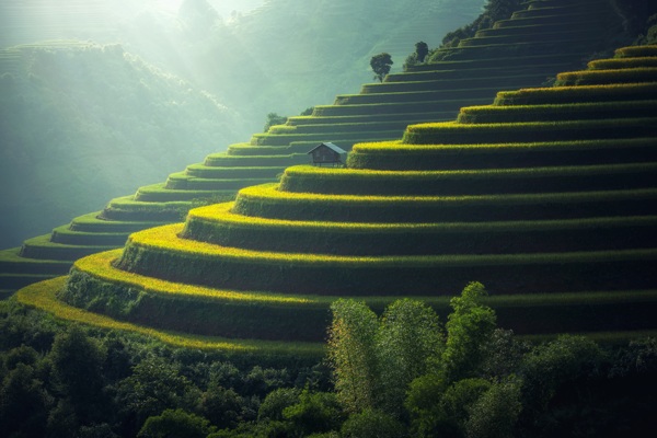 梯田美景