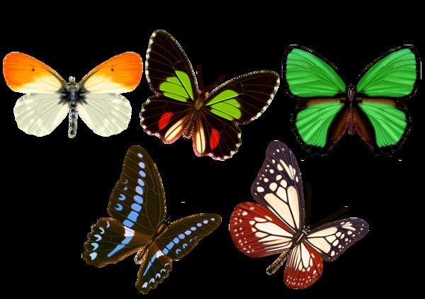 五款蝴蝶透明素材
