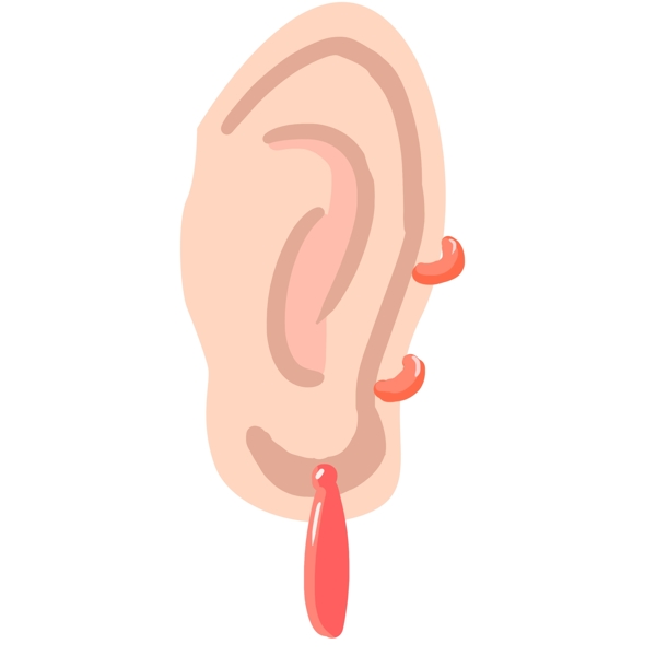 人体器官耳朵插画