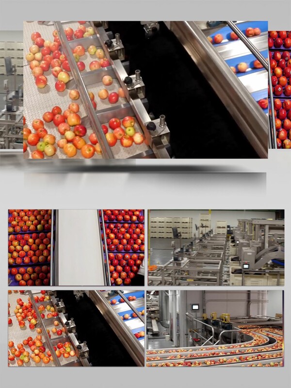 苹果加工生产线深加工食品素材
