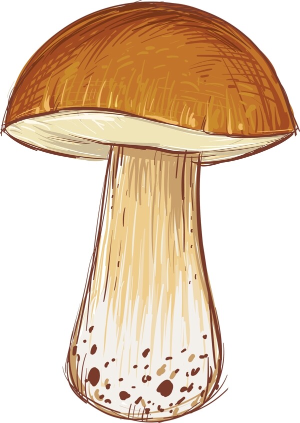 卡通蘑菇插画设计