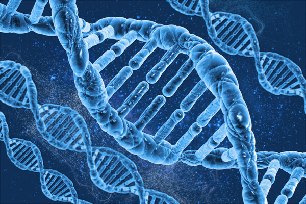 DNA分子链图片