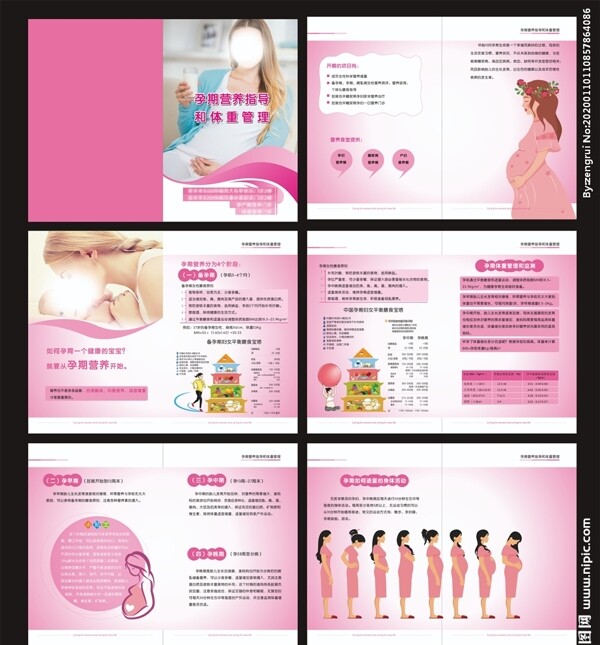孕期营养册子