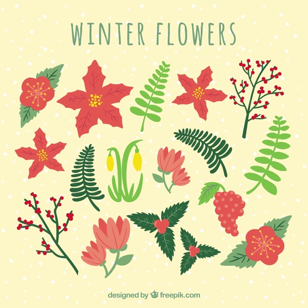 冬季植物花卉元素