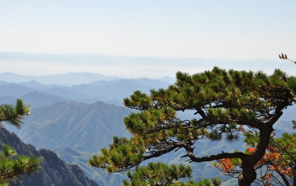 黄山图片