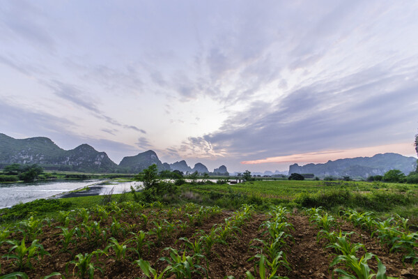 广西洋渡风景