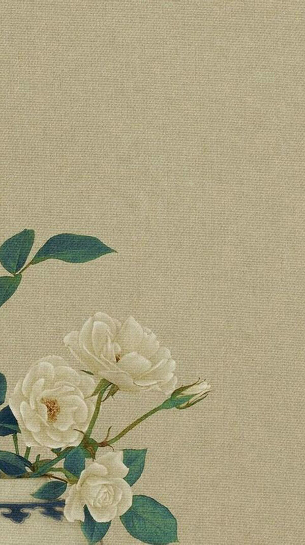 手绘白色花朵H5背景素材