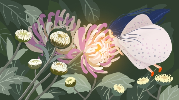 菊花与蝴蝶写实植物插画