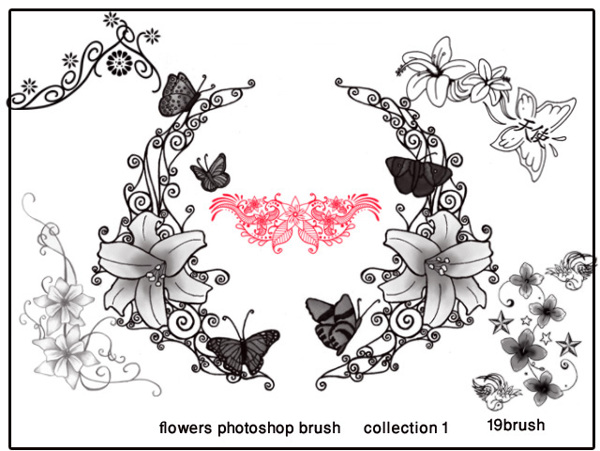 高清晰矢量花朵花边花纹ps装饰笔刷合集图片