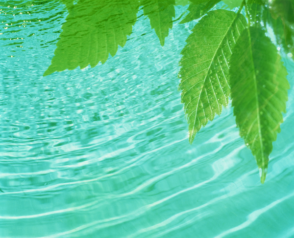 透明绿色的水