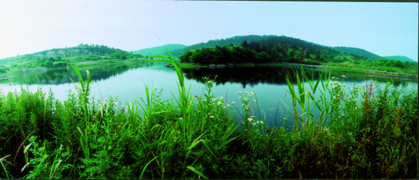 树植物水风景山