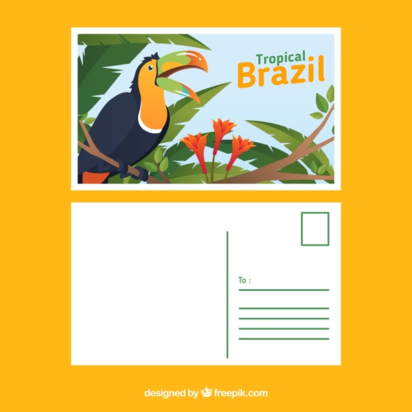 创意巴西巨嘴鸟明信片正反面