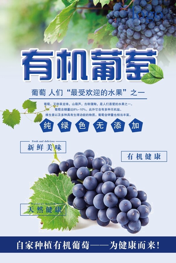 紫色葡萄水果海报