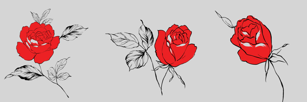 红色手绘玫瑰花
