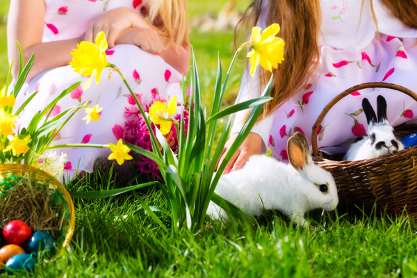 小女孩与复活节彩蛋兔子图片
