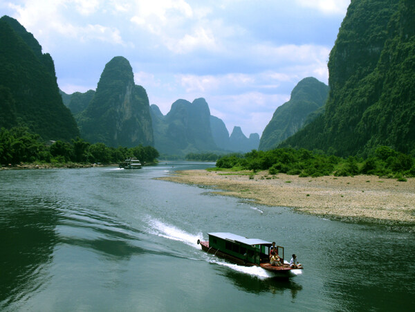 树植物水风景