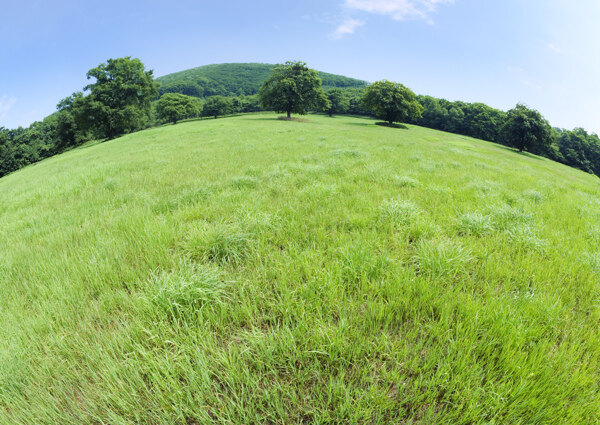 草地蓝天