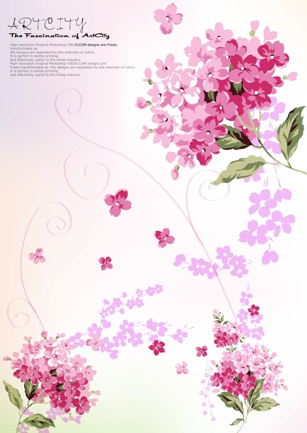 韩国花卉ai矢量图1