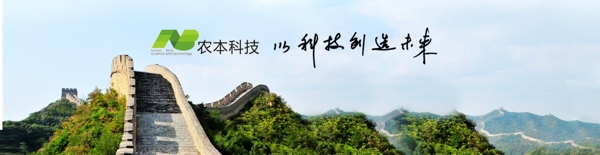 企业文化banner图片