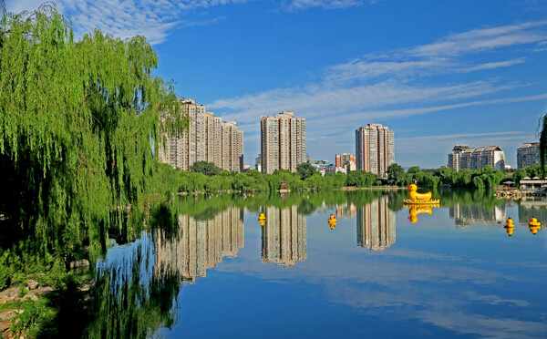 北京紫竹院公园风景