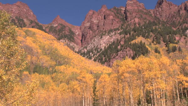红色的悬崖和秋天的树木2股票的录像视频免费下载