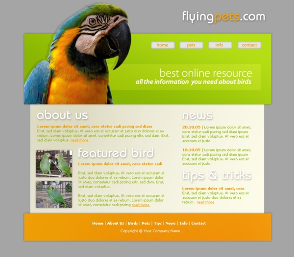 飞行宠物网页模板