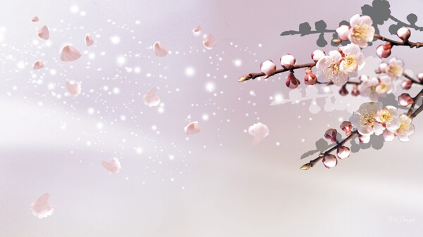 粉色桃花飘落调色花纹背景图片素材
