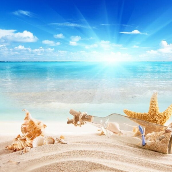 鱼缸背景海滩海星