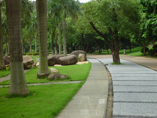 东莞中心广场公园风景