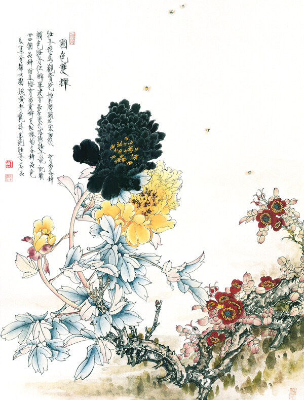 国画花卉图片