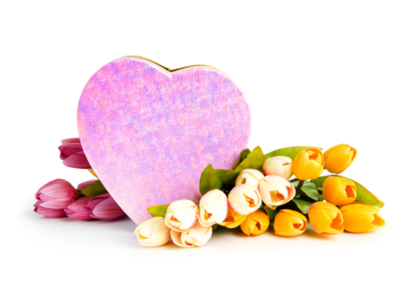 爱心礼盒与郁金花图片